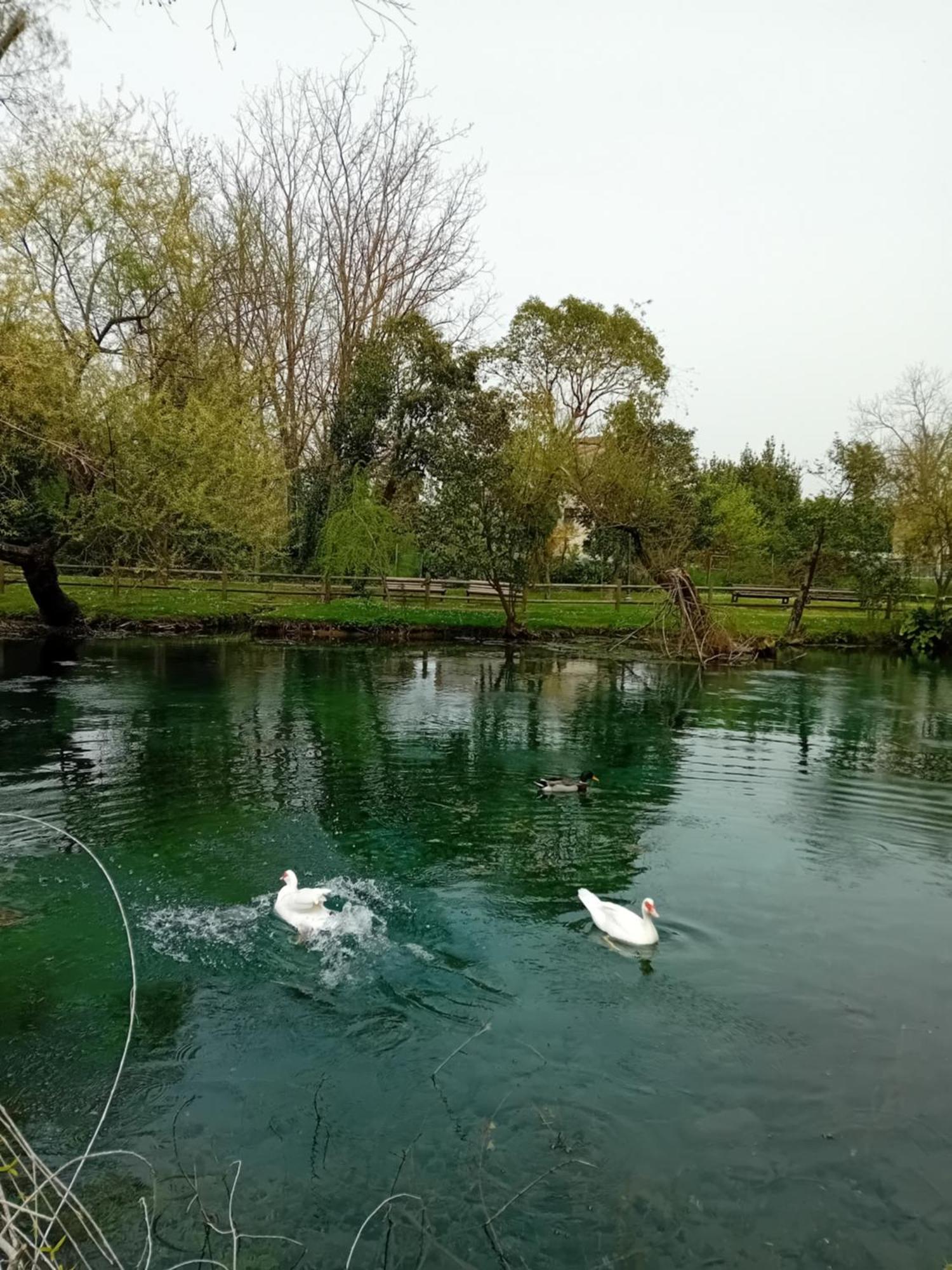 Bella Di Notte Daire San Giorgio a Liri Dış mekan fotoğraf